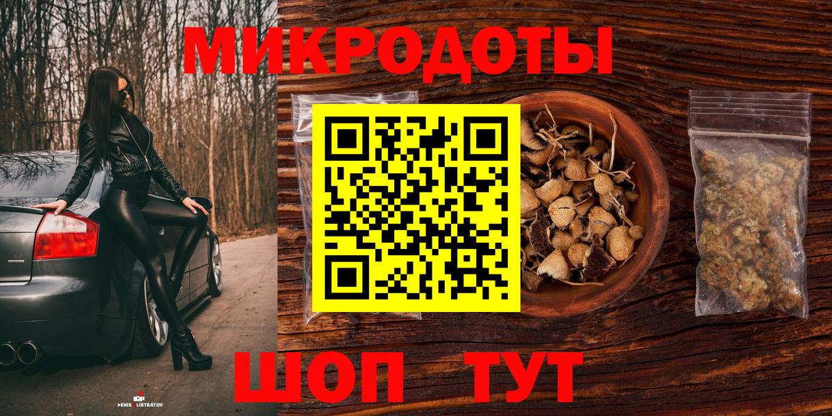 Галлюциногенные грибы Psilocybine cubensis Псков