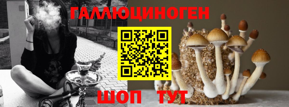 Псилоцибиновые грибы MAGIC MUSHROOMS  Галлюциногенные грибы MAGIC MUSHROOMS  Псков  Вход с VPN 